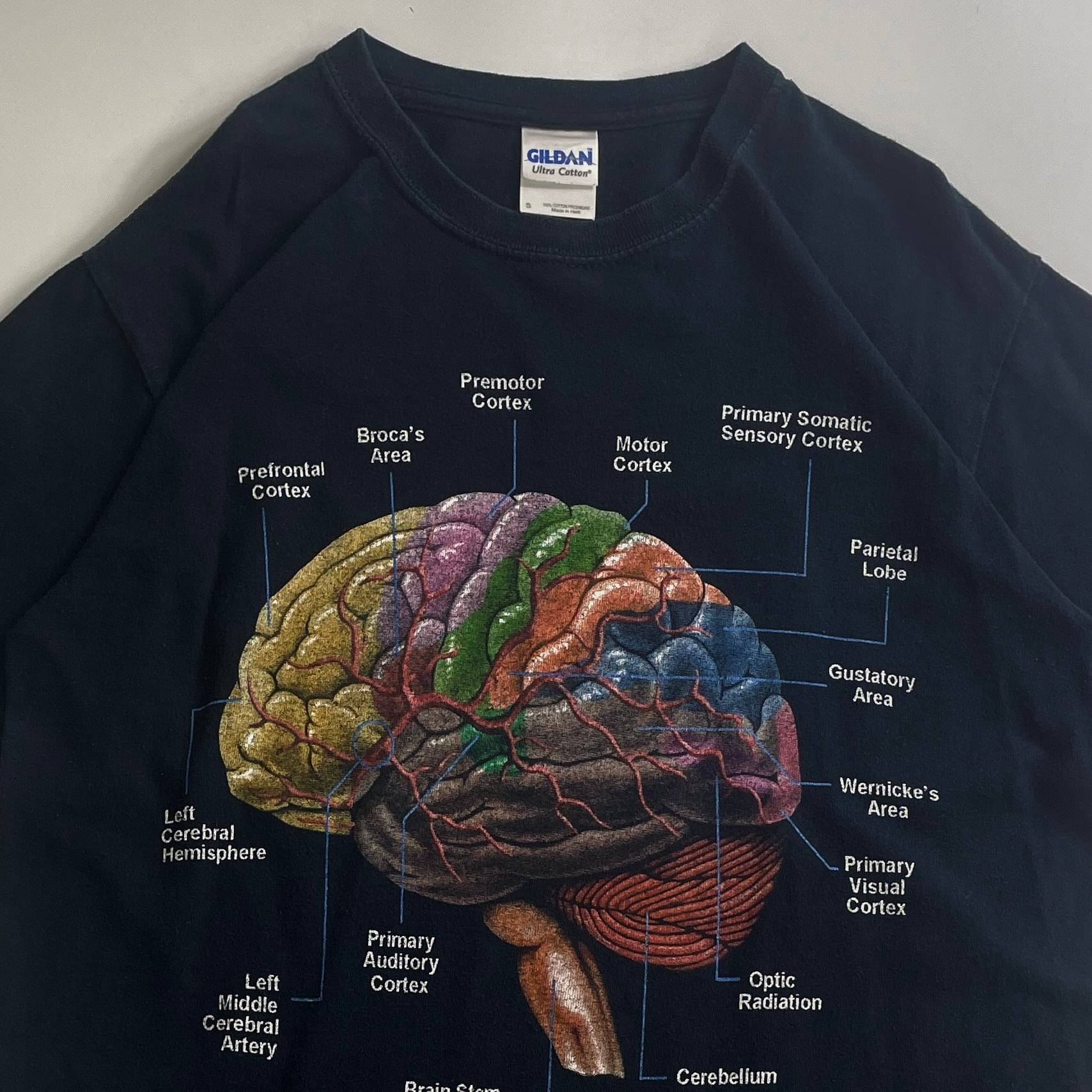00s Brain Anatomy Graphic Tee
