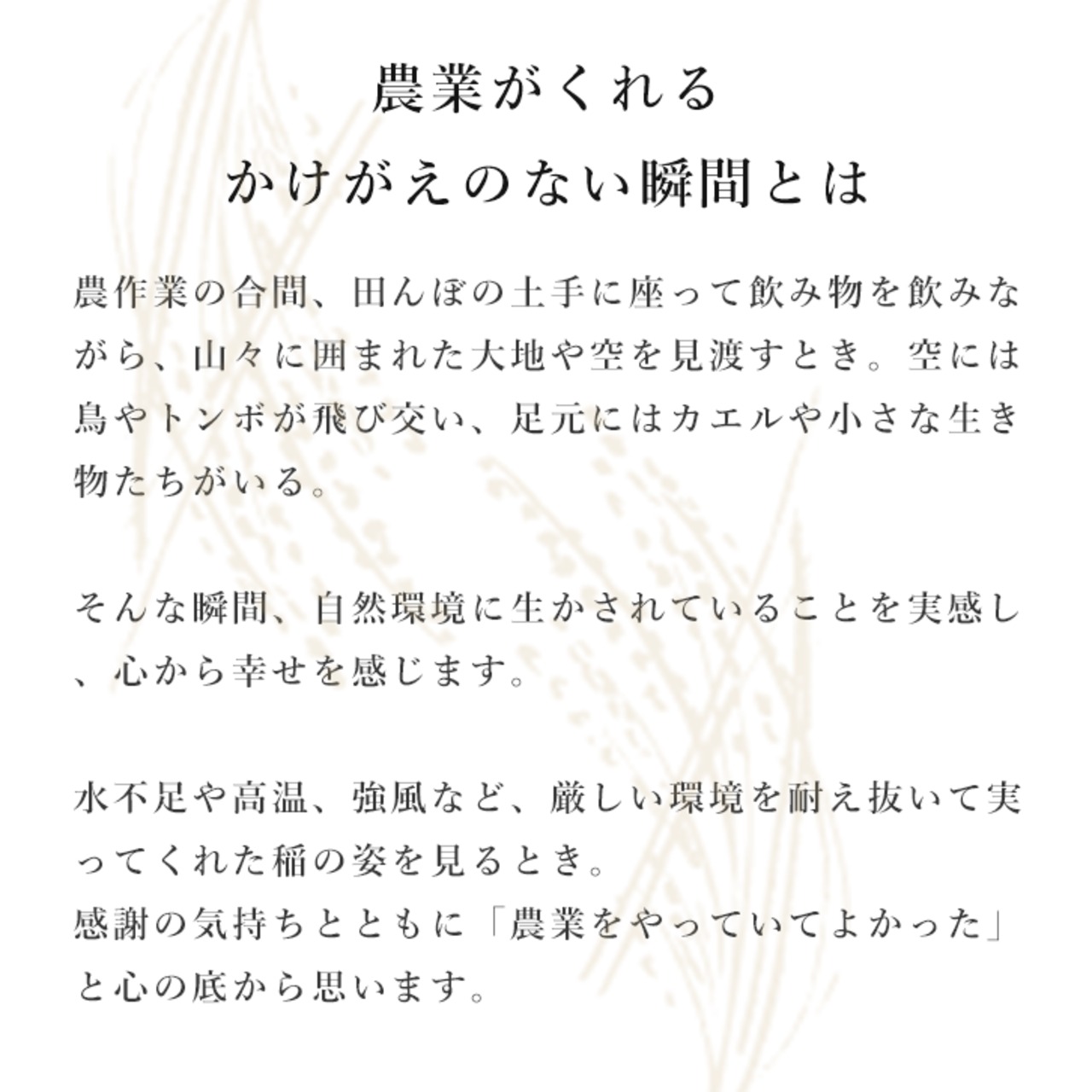 【新米】【福島県産】元木農園「福、笑い」2kg　-栽培期間中、農薬・化学肥料不使用-