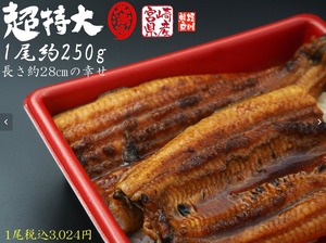 【超特大250g】春も鰻！長蒲焼　宮崎産