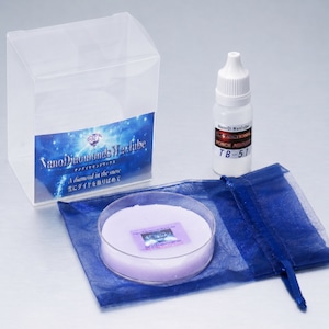 ★リニューアル★ND-RubonWAX　AllRound　（全天候）【固形生塗＋加速パウダー】