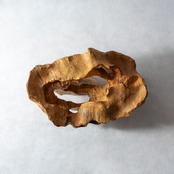 SPIRAL