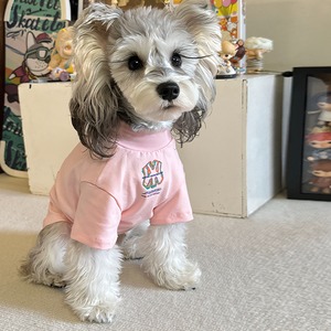 【PET】桃色トレンドデザインTシャツ