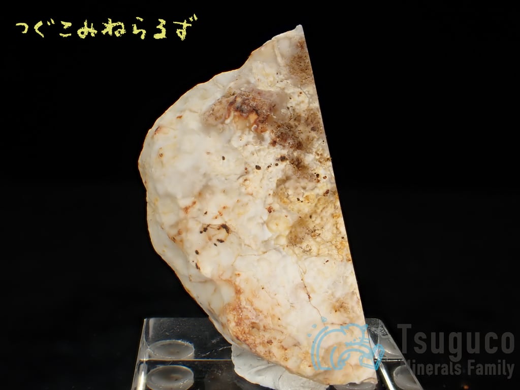 アゲート 瑪瑙 Agate ドイツ TM-0020
