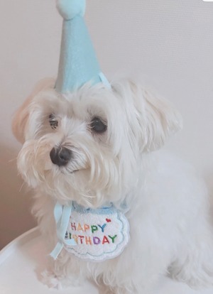 お誕生日お祝いセット