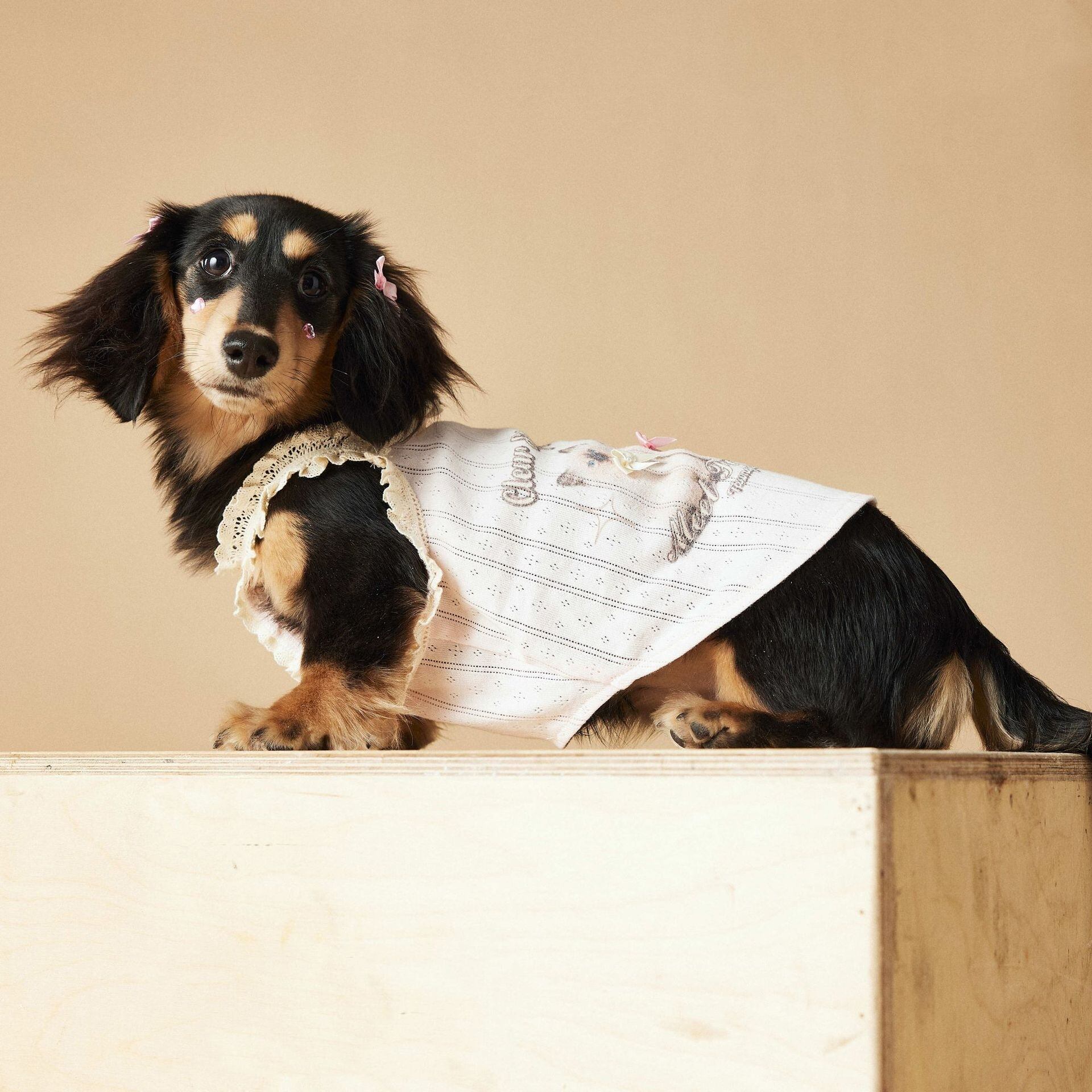 春夏 犬服 猫服 レースタンクトップ ドッグウェア ペット服 小型犬中型