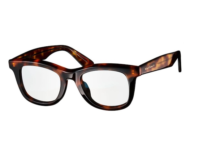 FLANDERS brown tort. x antique clear / dimming gray lens