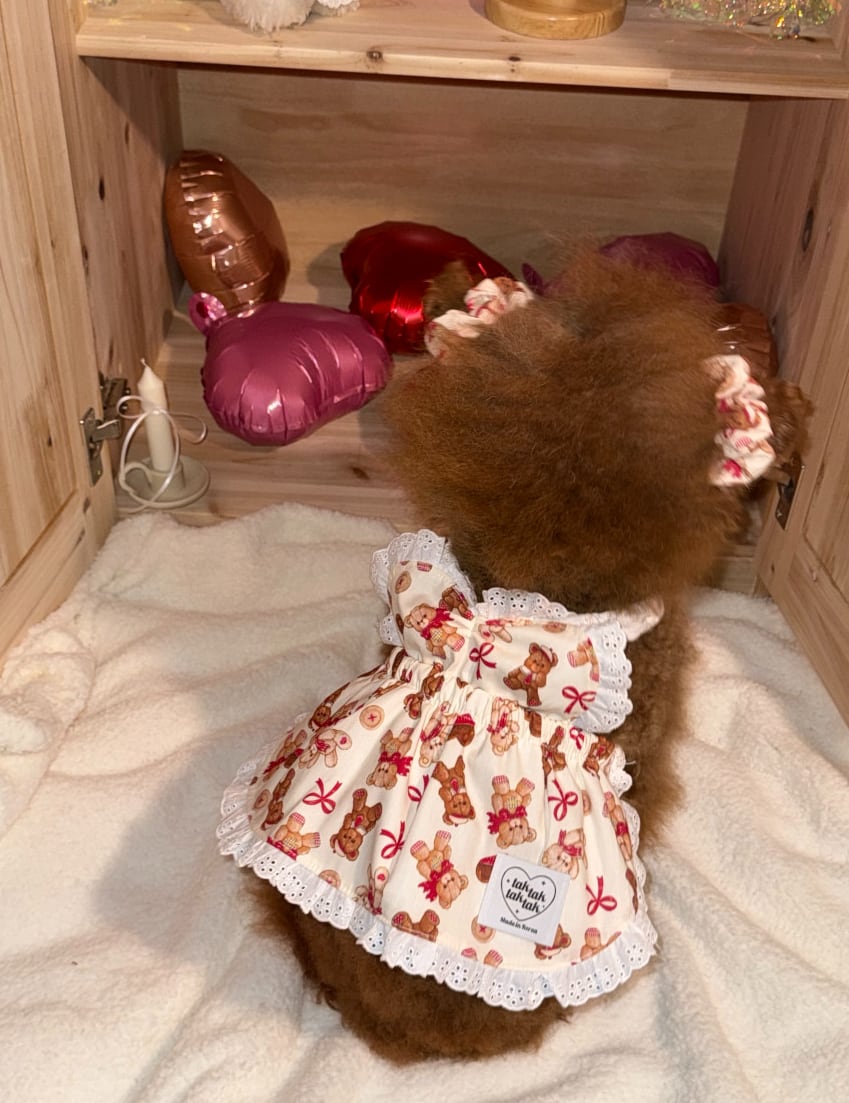 即納【tak!tak!tak!tak!】Teddy Biscuit Apron Dress