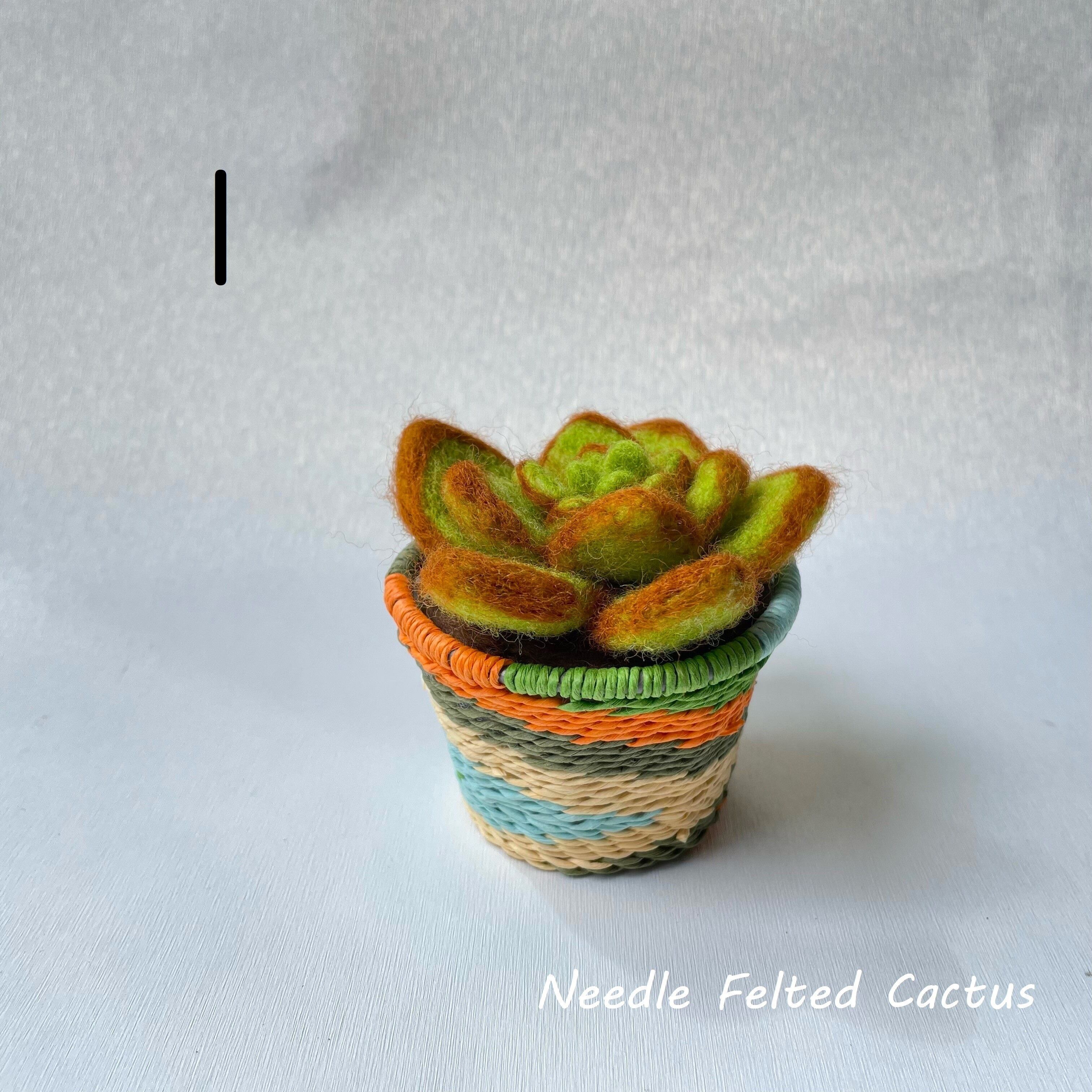 羊毛フェルト サボテン インテリア 羊毛フェルト-サボテンも猫鉢植え/多肉植物/装飾 - ショップ