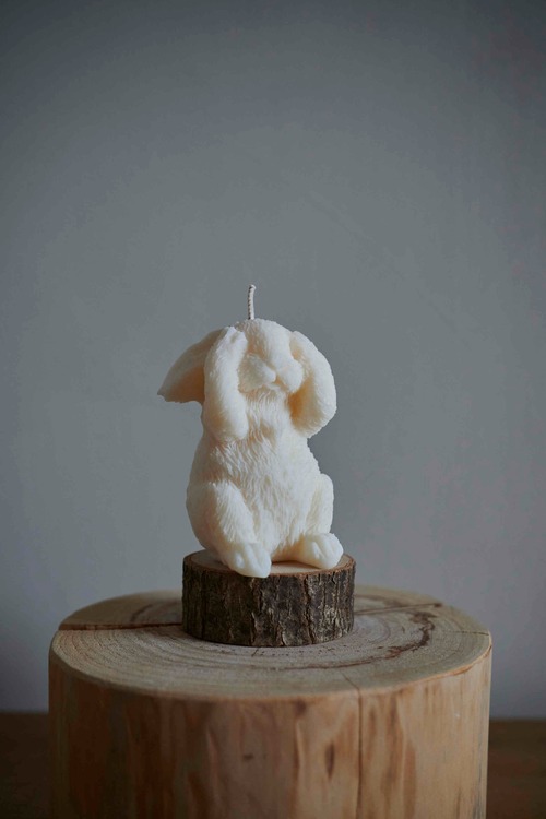 Cache cache petit lapin