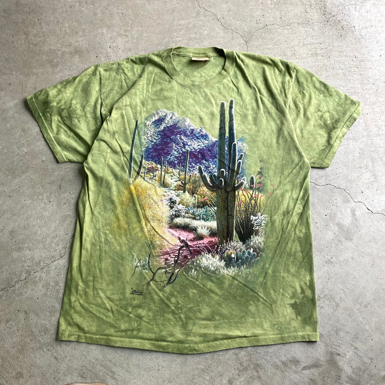 THE MOUNTAIN タイダイ柄 サボテン ネイチャープリント Tシャツ メンズ 