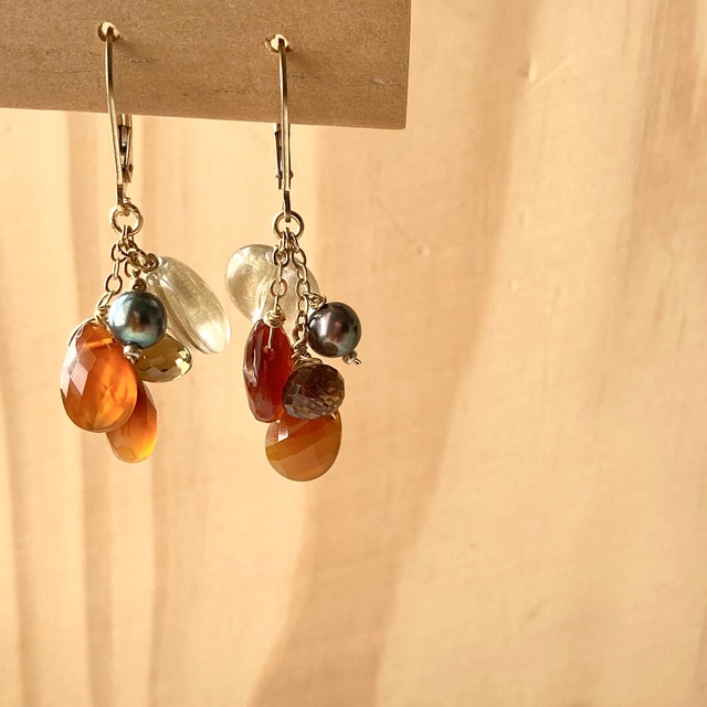 TANGO earrings