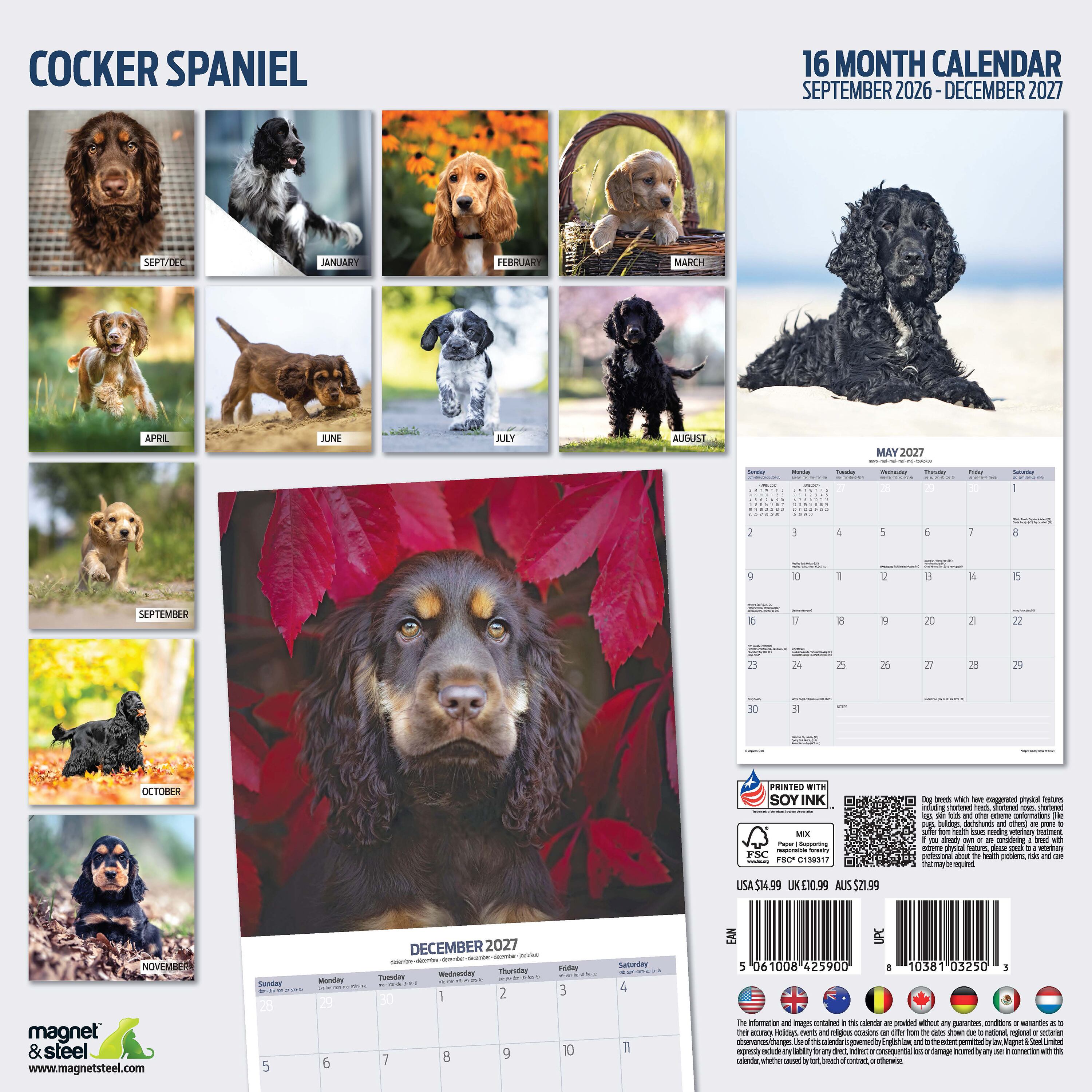 【2027年版】英国製犬種カレンダー【コッカー・スパニエル】Traditional 2027年版