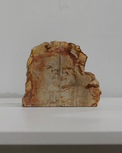 OAK Petrified Wood - Book End #008 ：Natural｜珪化木／Barkエッジ／一点もの