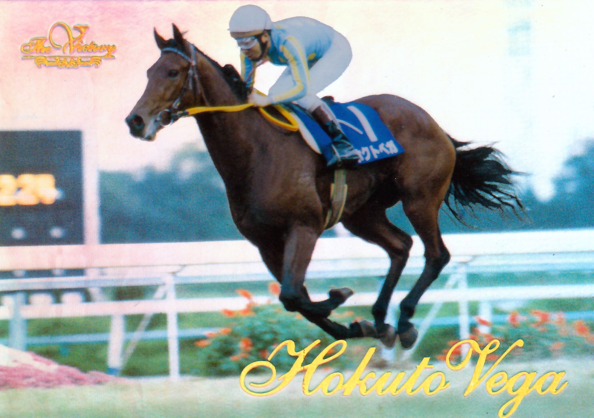 The Victory 1999 オグリキャップ オグリキャップ(金文字ノーマル)「The Victory 1999」No.3 | カード