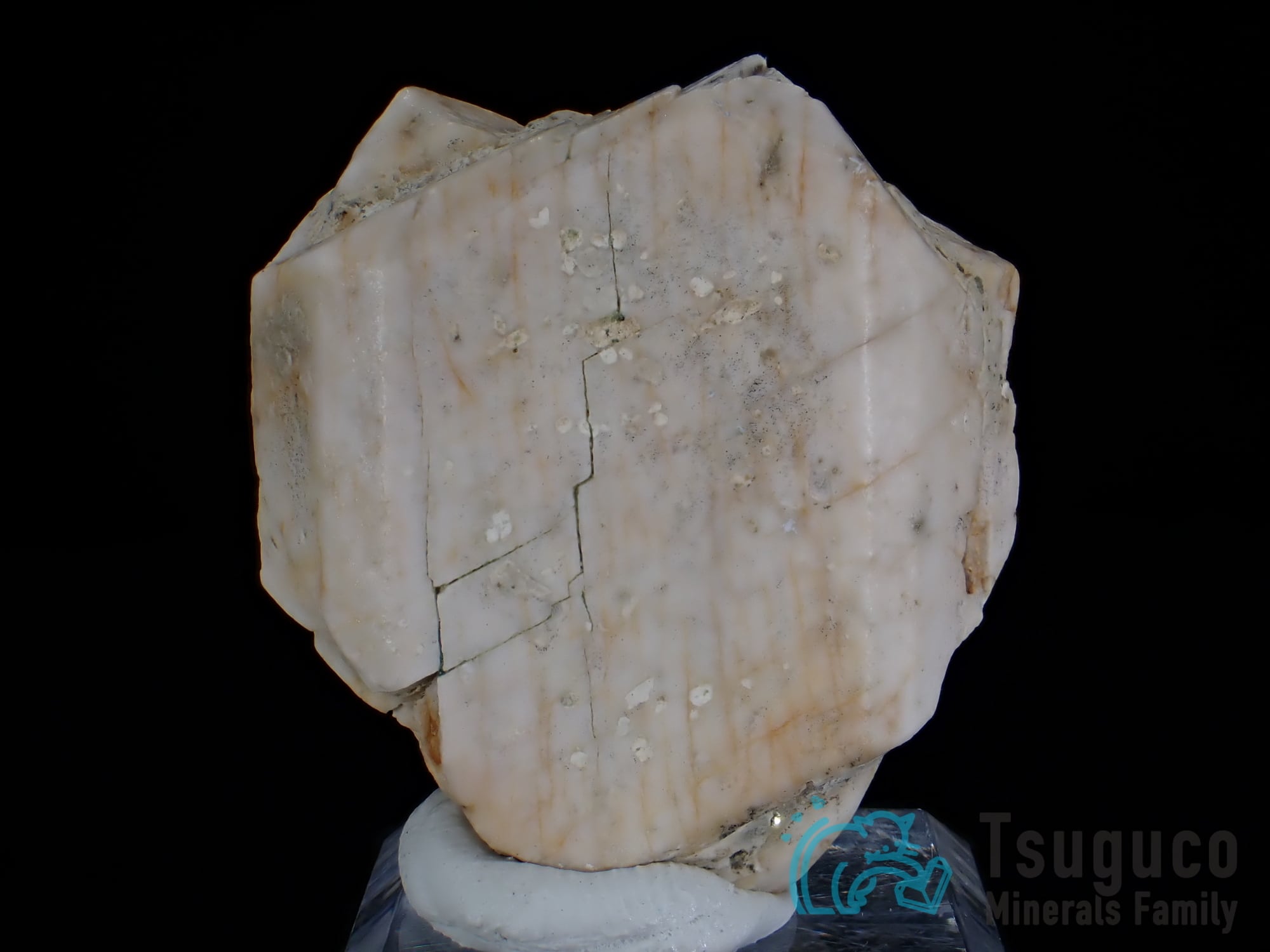 オーソクレース 正長石 スペイン TM-534 | つぐこみねらるず ｜鉱物