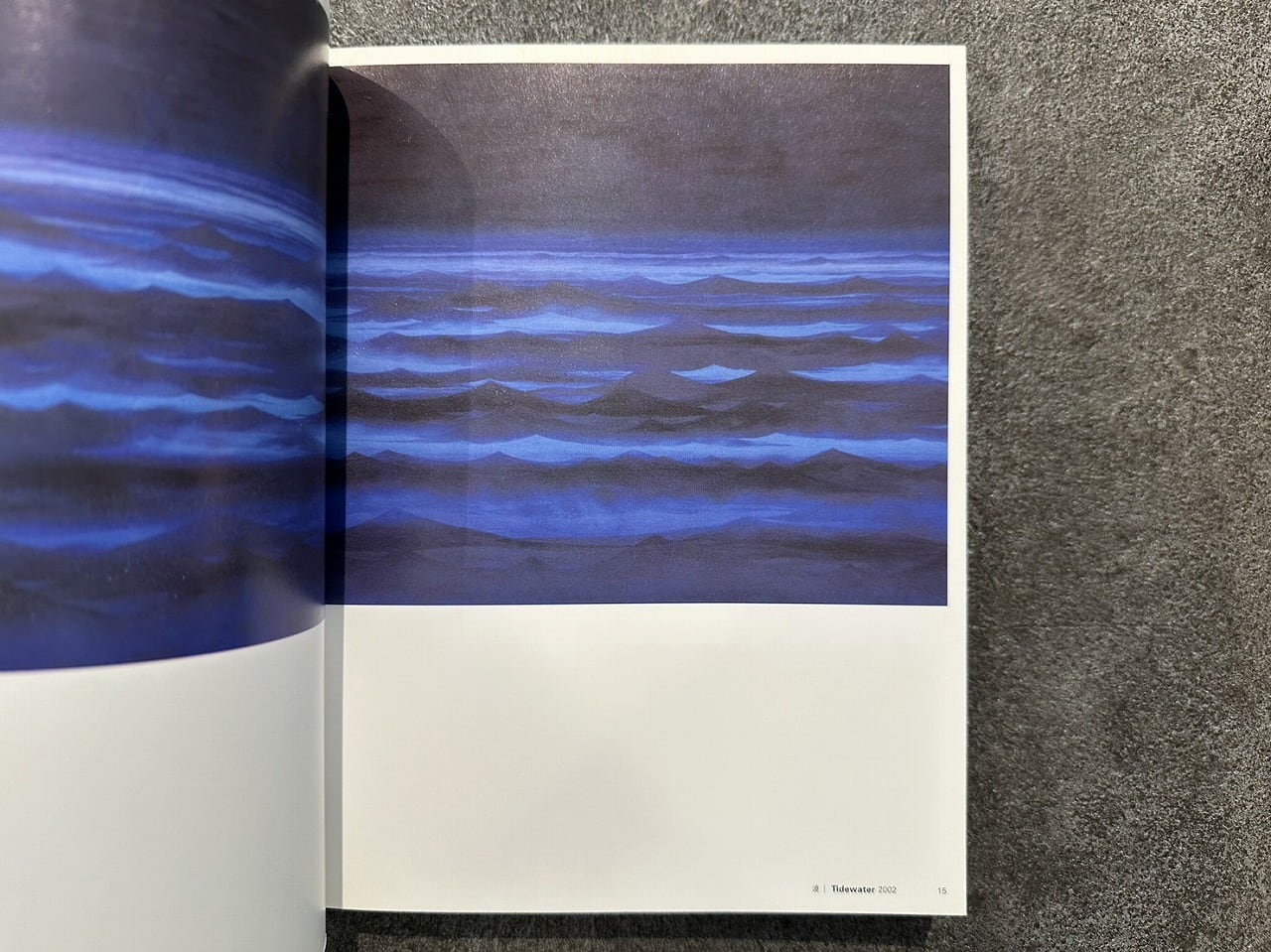 SA021】千住博の滝以外 / visual book | KITAZAWA BOOKSTORE