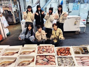 S鯛U　瀬戸内黄金比　真鯛ほぐし