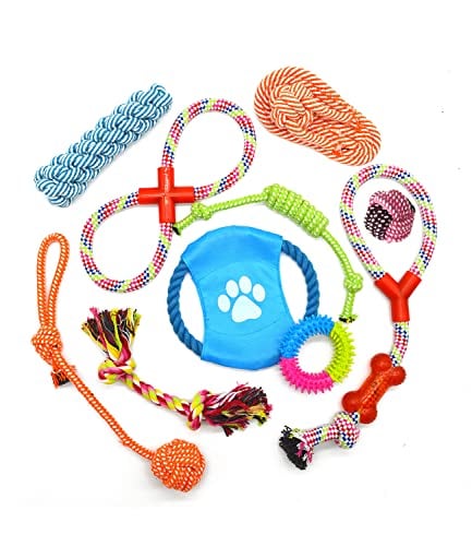 PetGround 犬のおもちゃ10個セット 頑丈 小型犬 中型犬 大型犬 犬