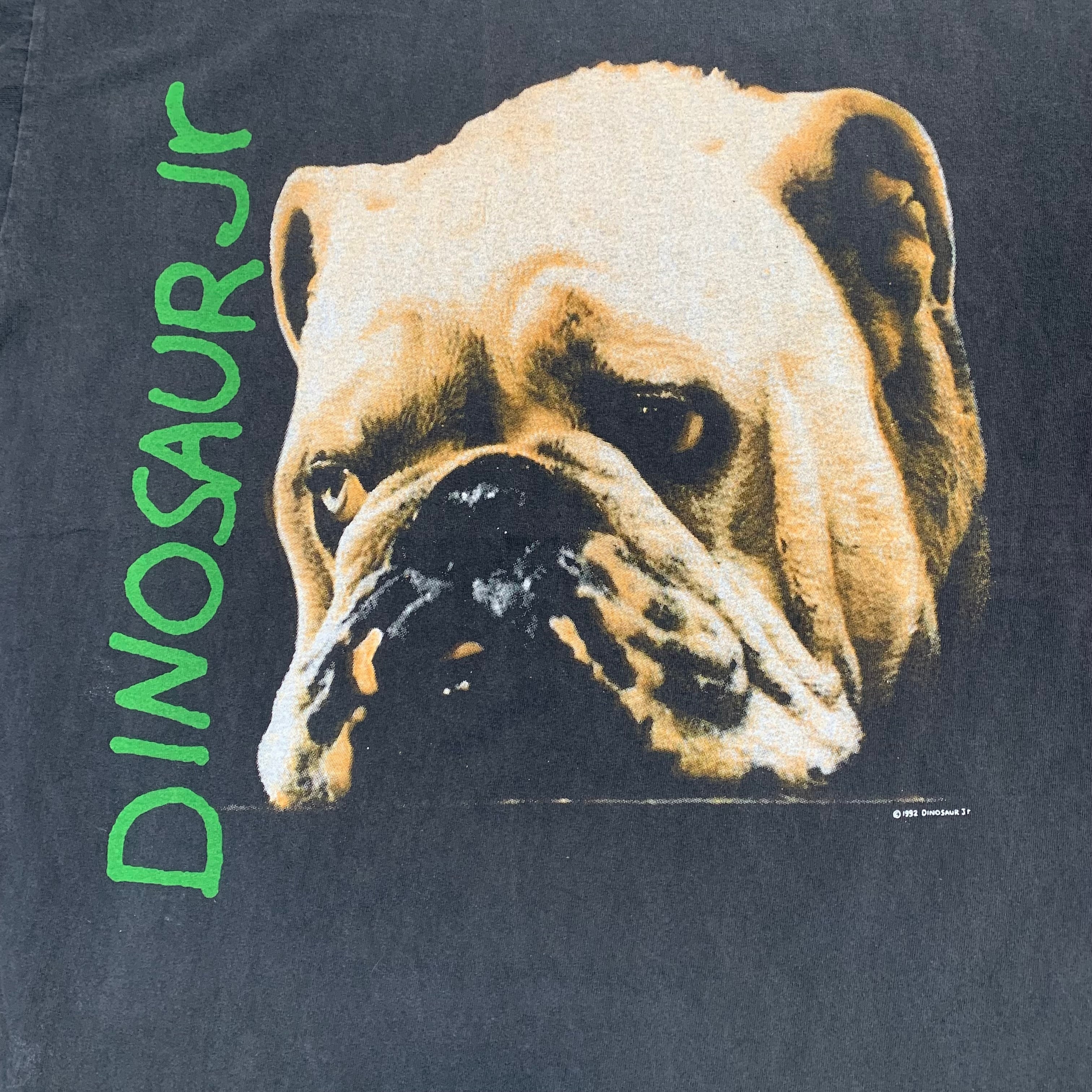 11223 DINOSAUR Jr Tシャツ バンT BULLDOG L | San Fernando
