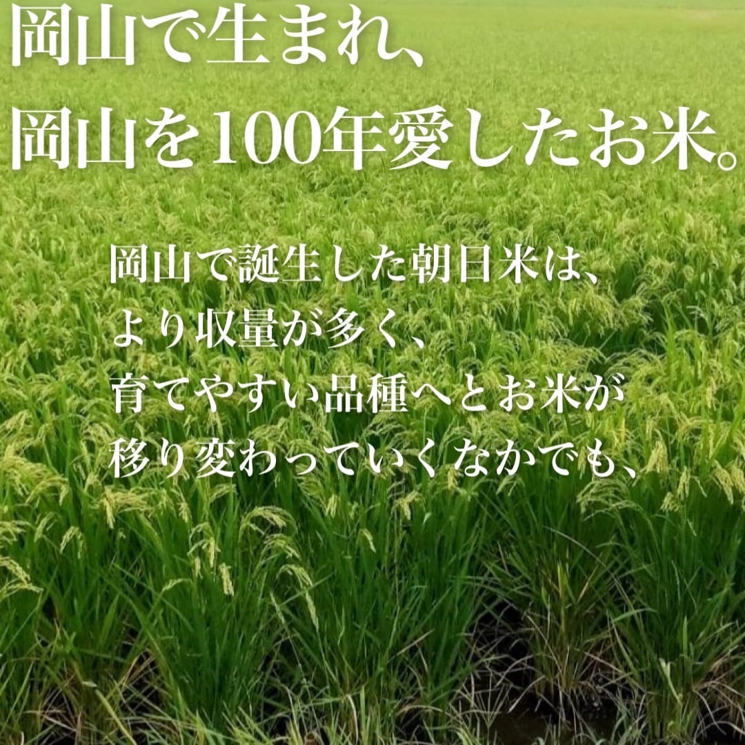 自然栽培 朝日米 5kg｜無農薬｜玄米・分づき米・白米｜岡山県倉敷産