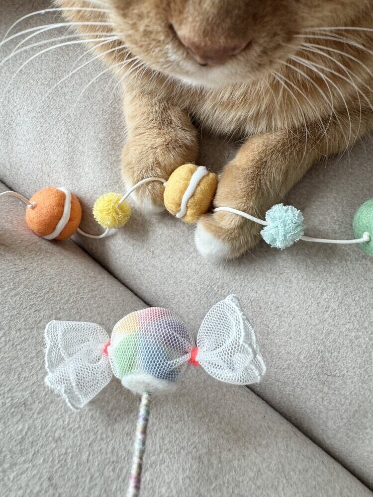 ぬいぐるみ ティムキャンピー猫じゃらし D gray man ティムキャンピー
