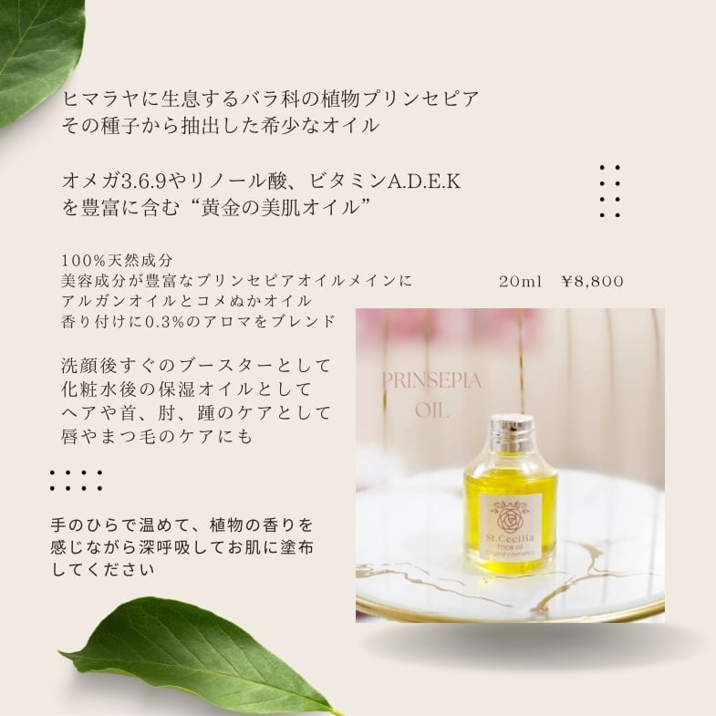 セシリアオリジナル プリンセピアオイル 20ml | stcecilia