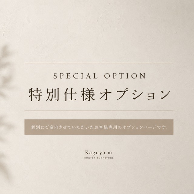 特別仕様オプション