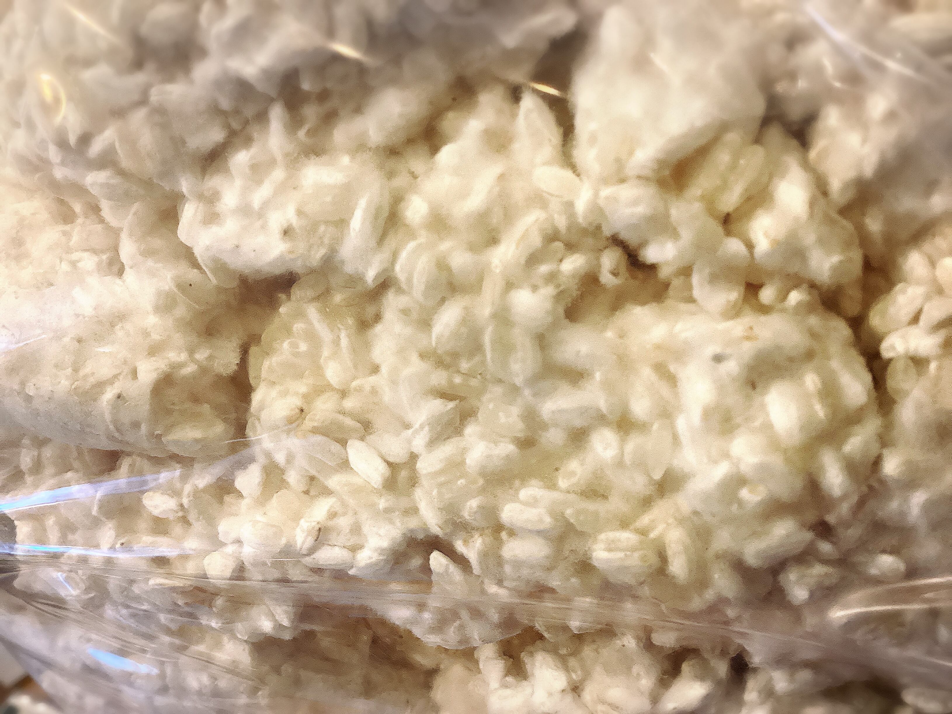 自然栽培 朝日米 米麹 在来種 5分つき米麹 1kg | Organic Cafe 