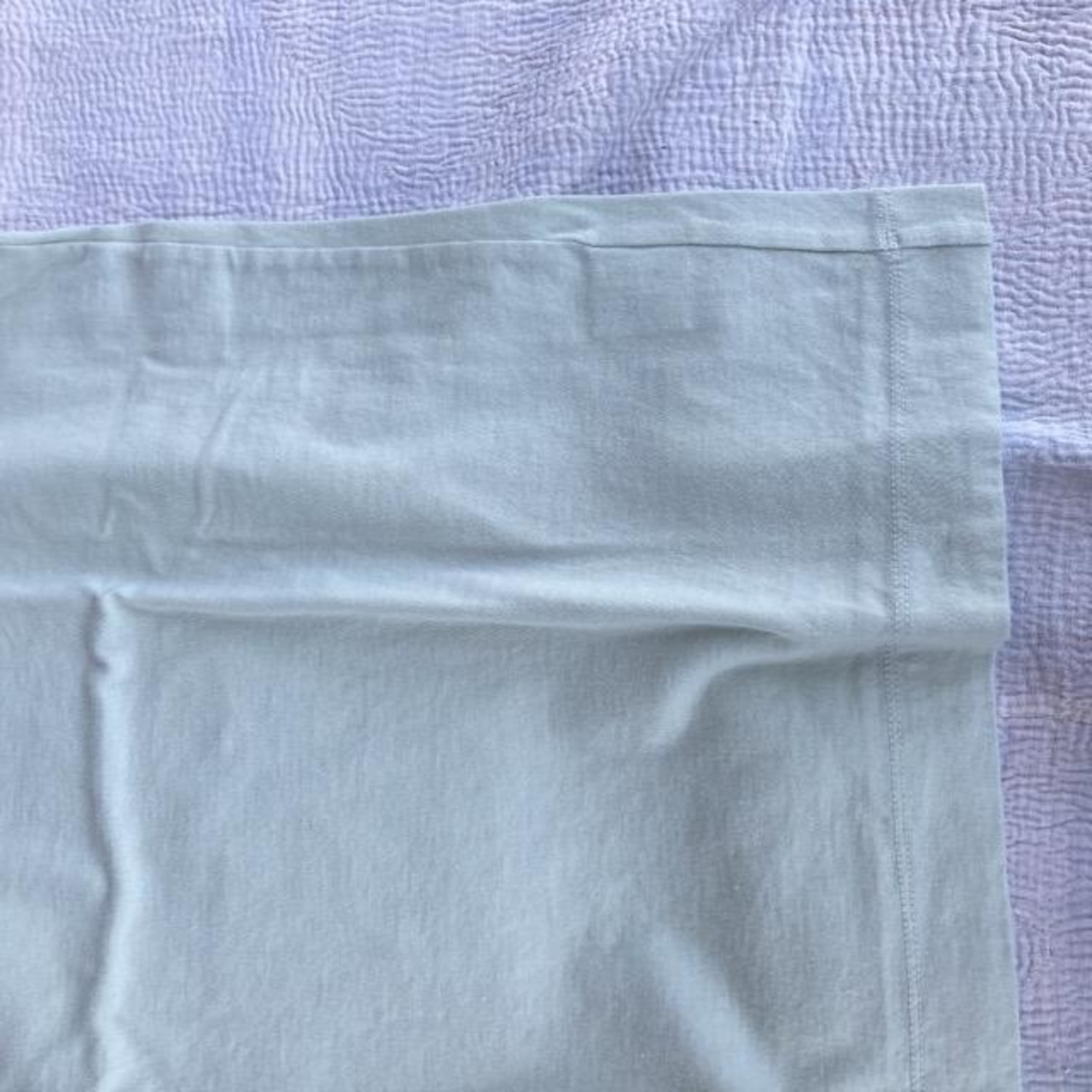 homspun (ホームスパン) 天竺半袖Tシャツ ライトセージ 【2023新作】