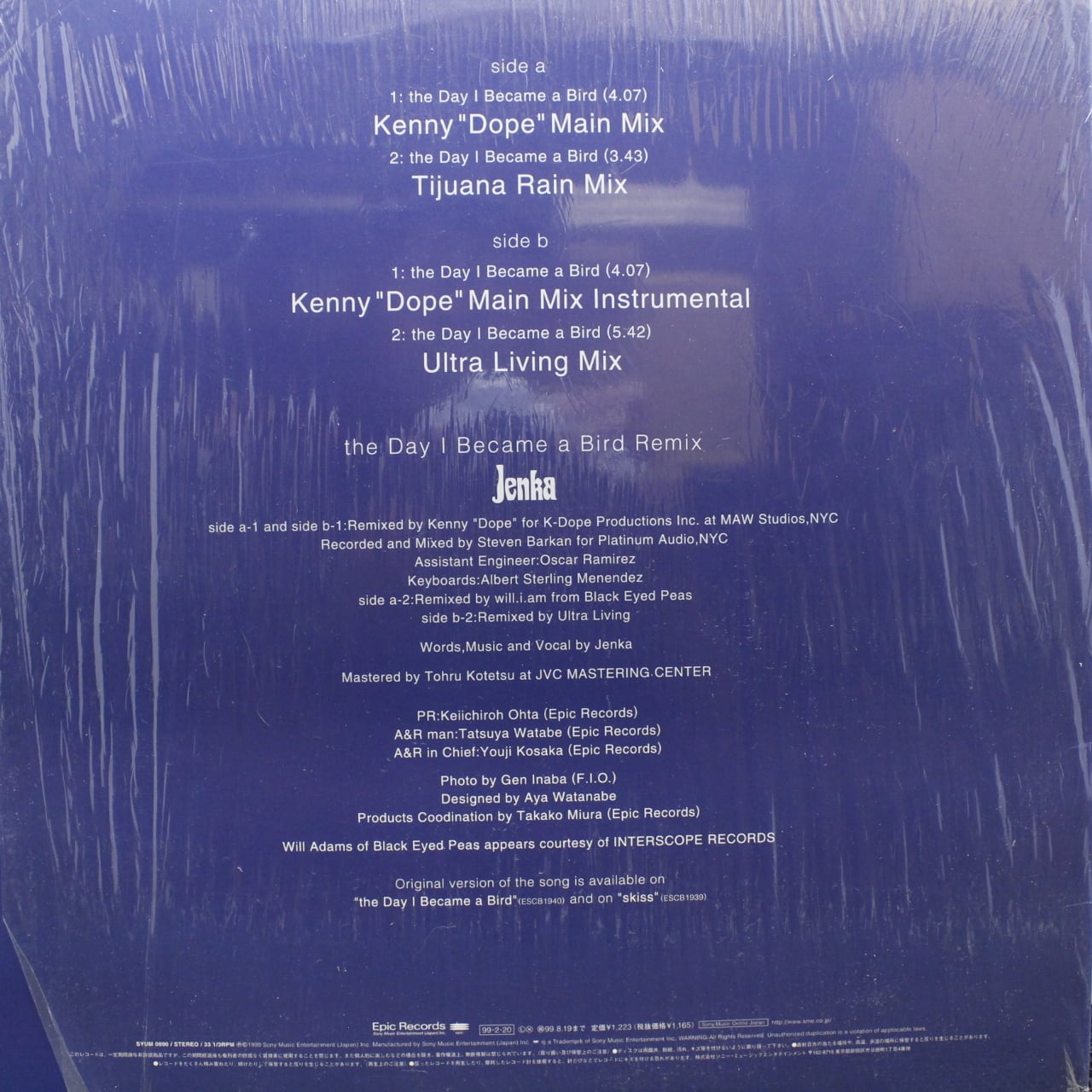 Jenka / The Day I Became A Bird Remix [SYUM 0090] - 画像2