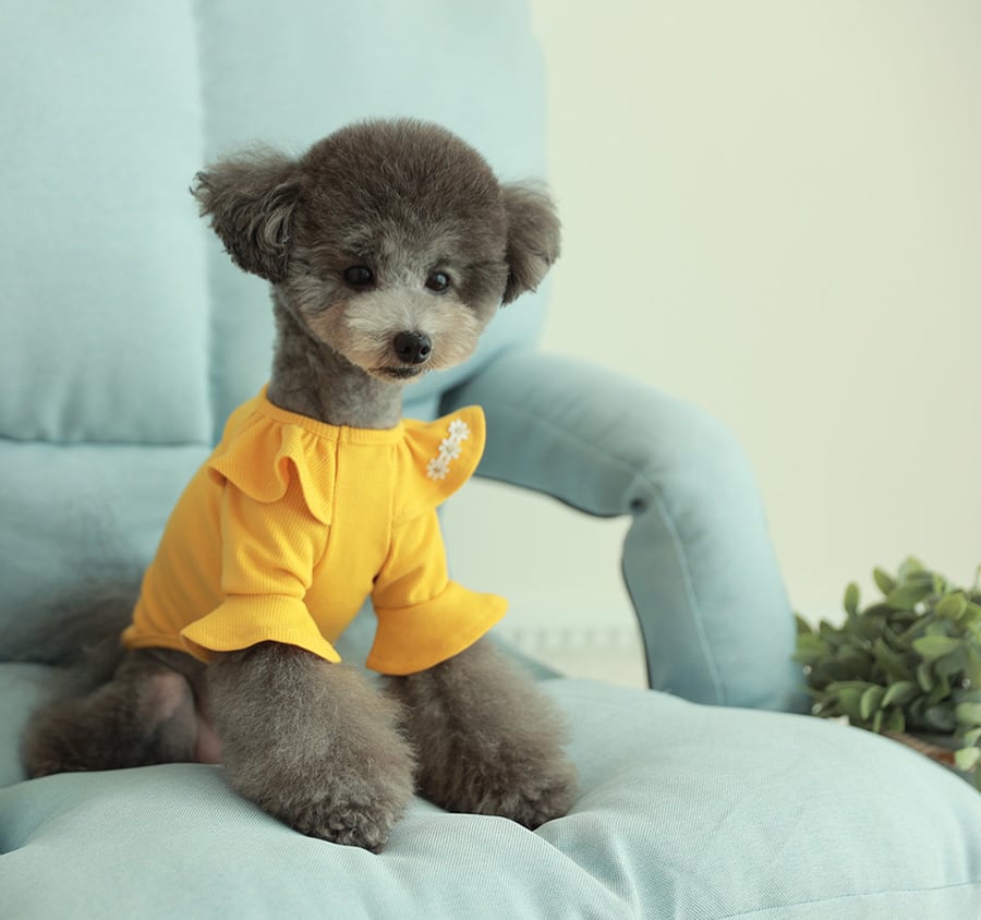 purina t-shirt S ~ XL 4color  /  犬服 秋冬 Tシャツ ブラウス 上品 可愛い ワンコ服 ストレッチ 犬の服 長袖 無地 ドッグウェア フリル シンプル ニット お揃い ハイネック 韓国ワンコ服 小型犬 中型犬