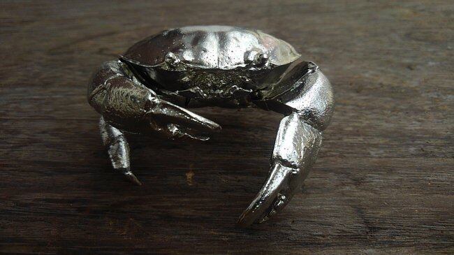 スベスベマンジュウガニ イワシ金属化オリジナル作品 富士教材ネットショップ