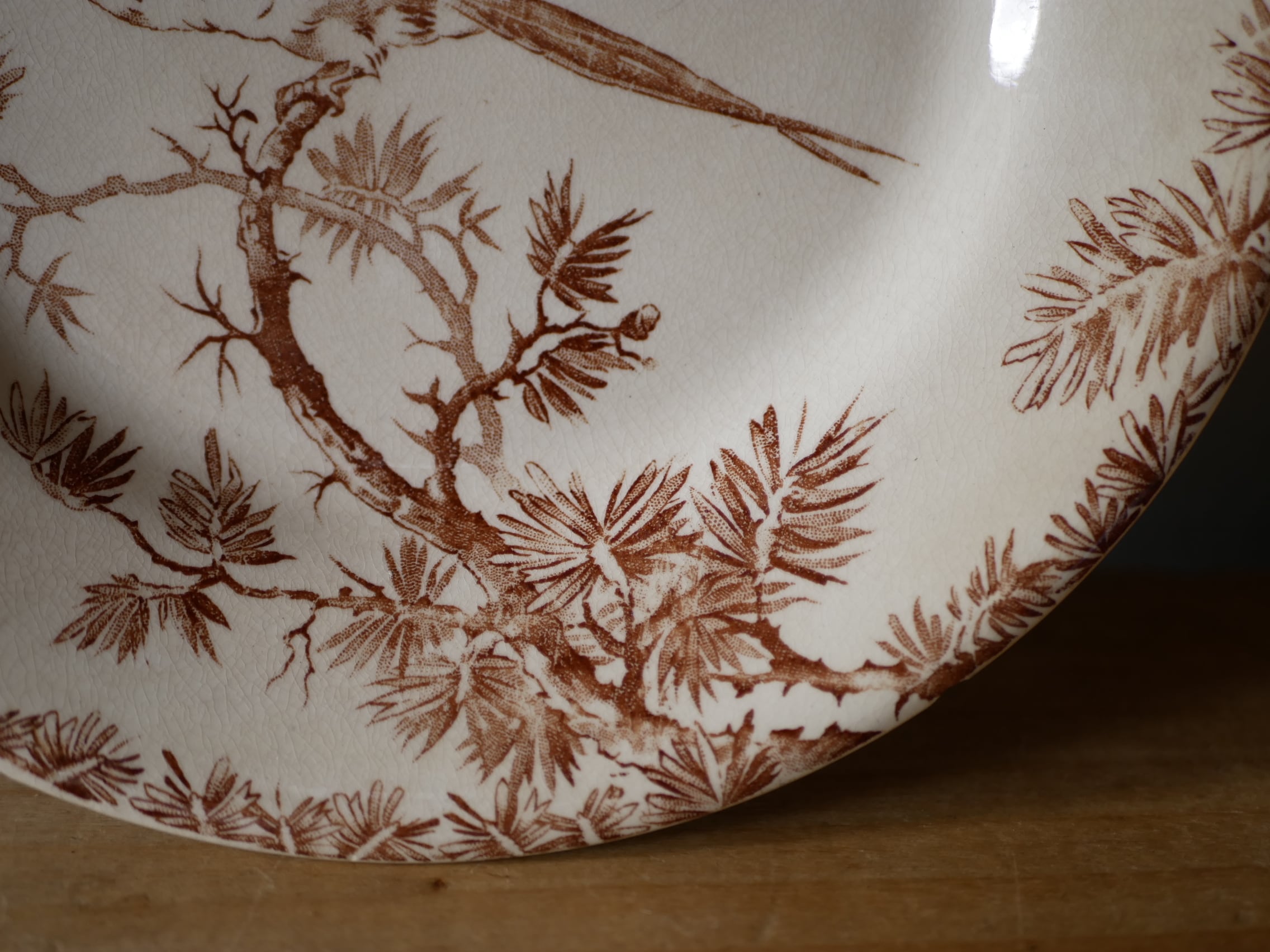 gien 限定モデル2009