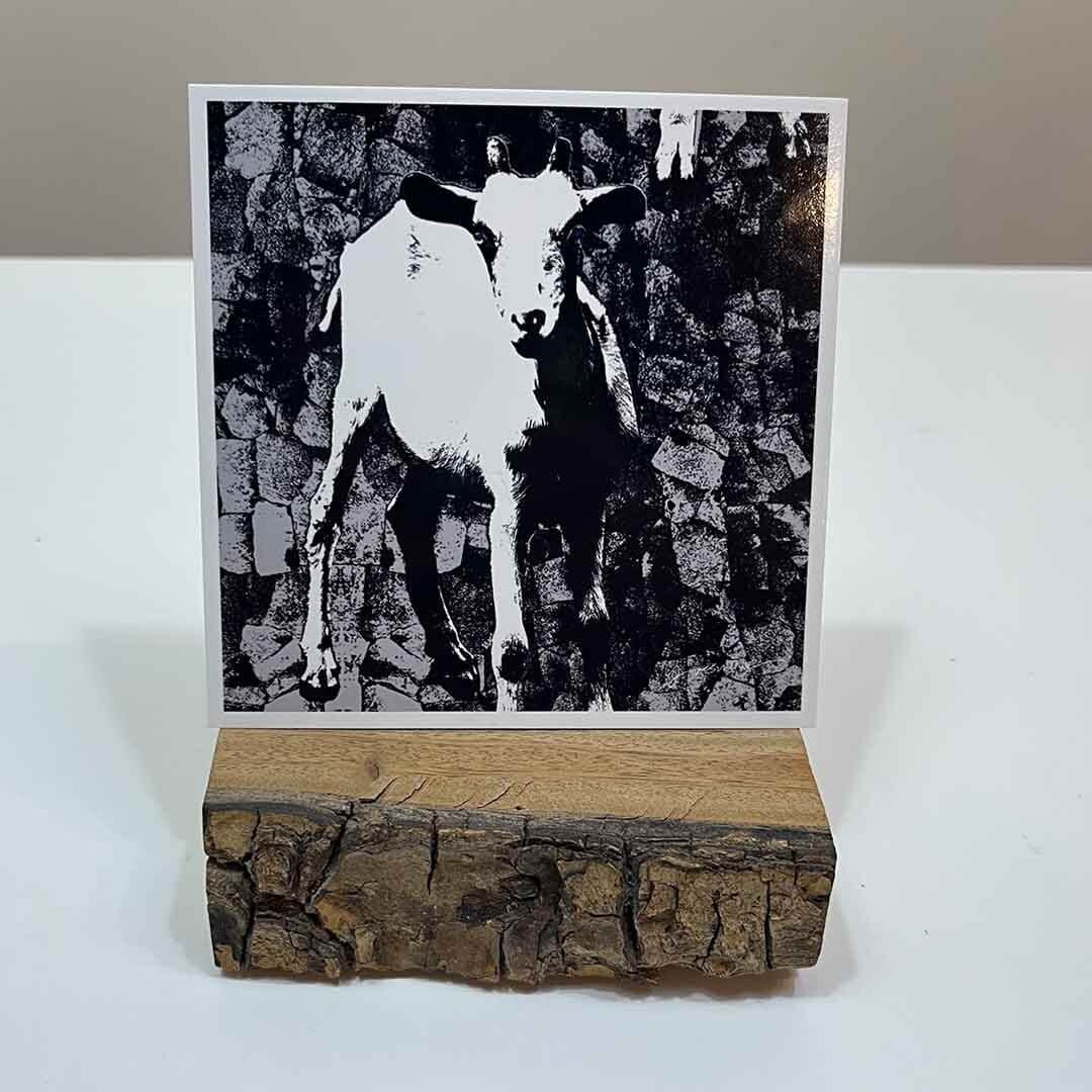 ポストカード 6枚セット | イチグスクモード