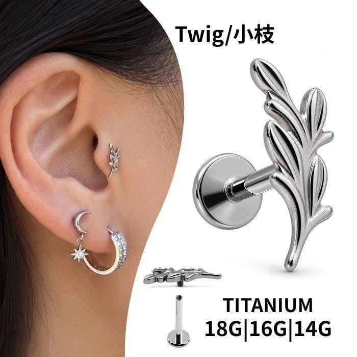 14G ANATOMETAL 限定商品/Limited Itemブリリアントカットポラリス
