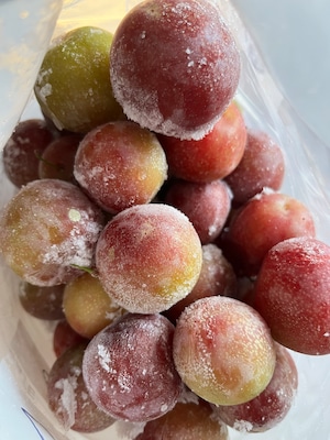 【冷凍】　自然栽培　ミラベル　非常に珍しいフランスの果樹　プラム　すもも　フランス 約２kg