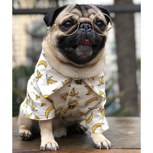 Dog wear  -shirt banana- 　　dogw-192