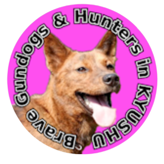 猟犬たちと九州の猟師【イノシシハンター】ロゴ オリジナルステッカー