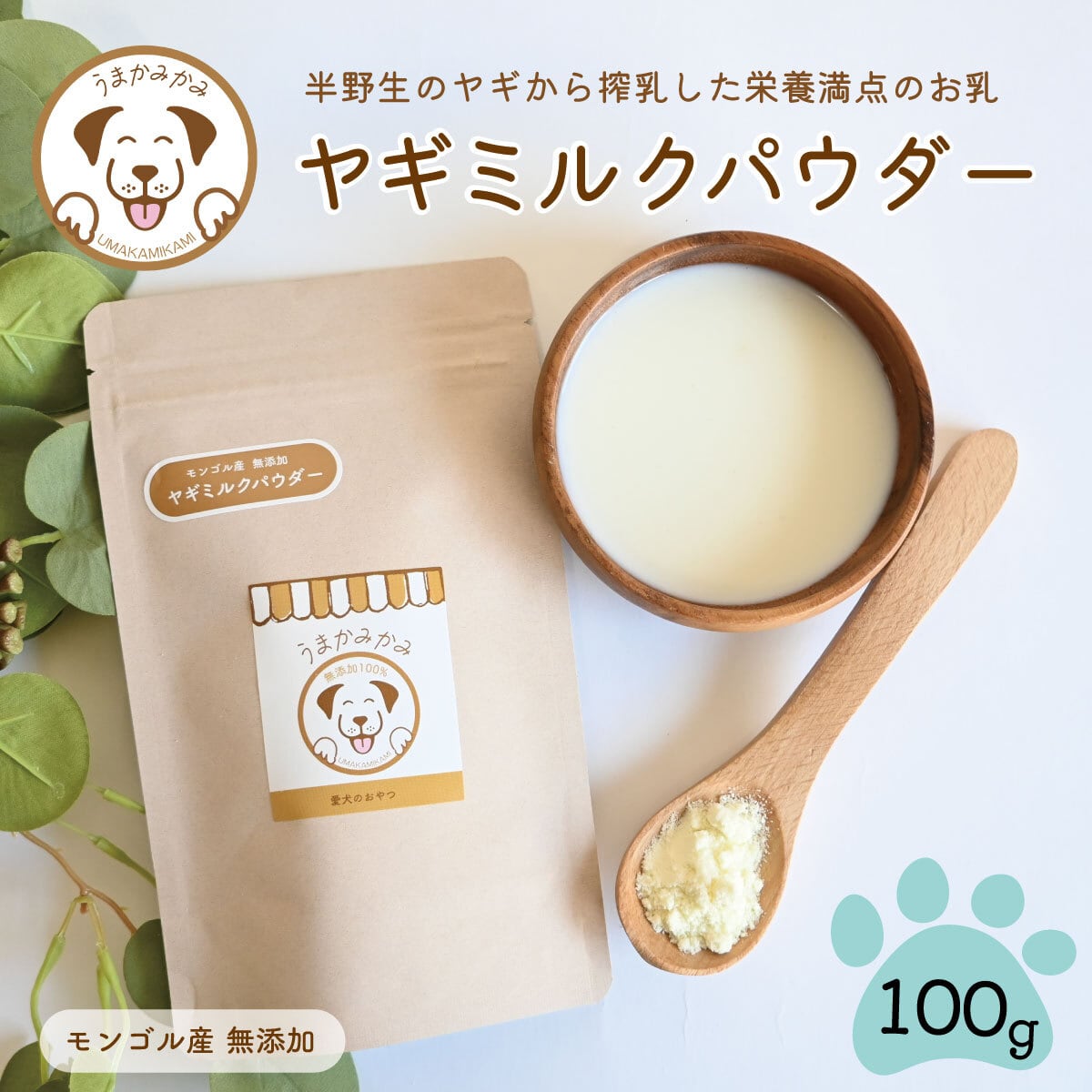 ヤギミルクパウダー 100g モンゴル産 無添加 うまかみかみ(27.10.31)