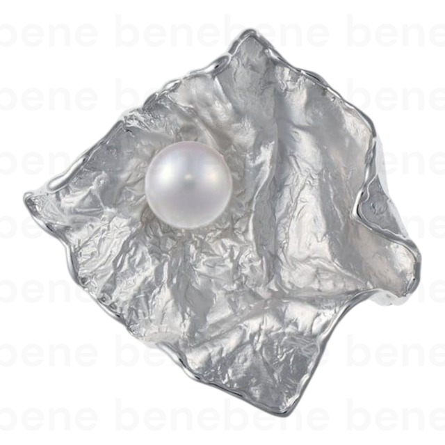 SVﾌﾞﾛｰﾁ ⑰