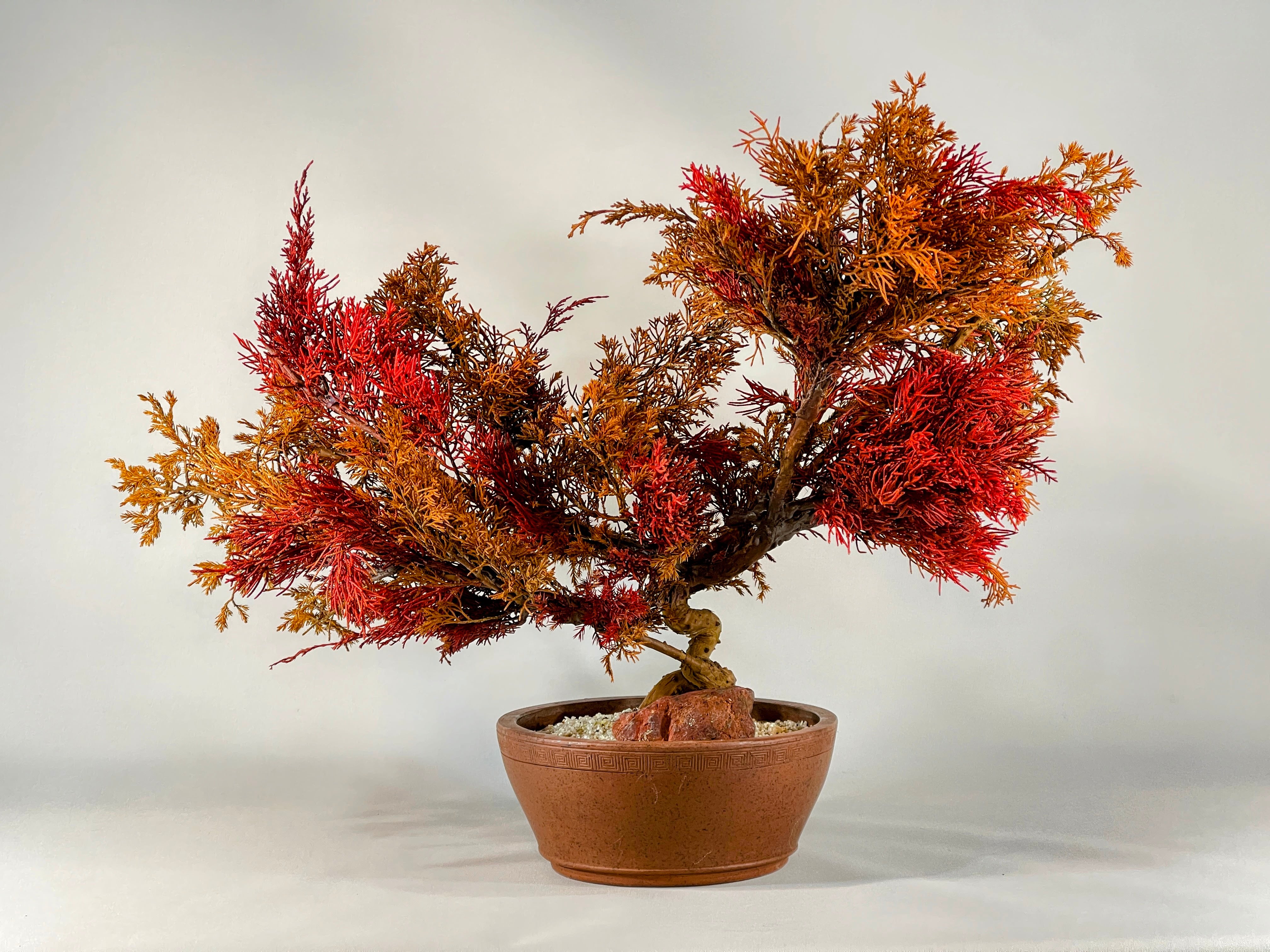 DRY BONSAI TOKYO Online store