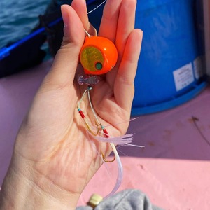 【B級品】Yoshitaro モデル	(伝承毛針)	タラ針　ランダム20本入り