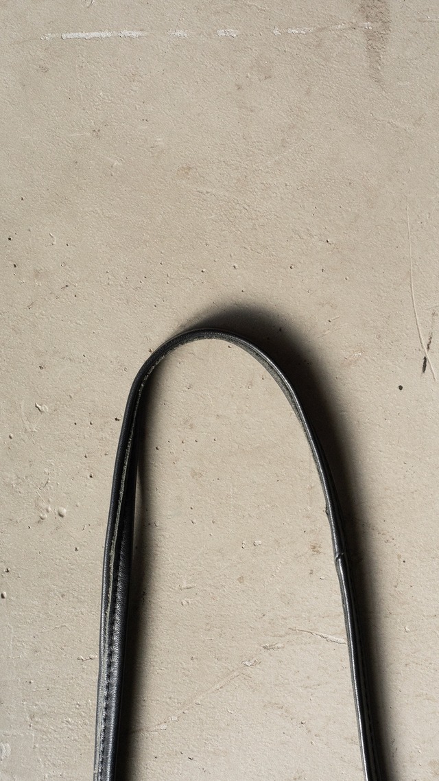 "ear PAPILLONNER" used Leather mini shoulder bag