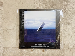 17歳とベルリンの壁 / Abstract