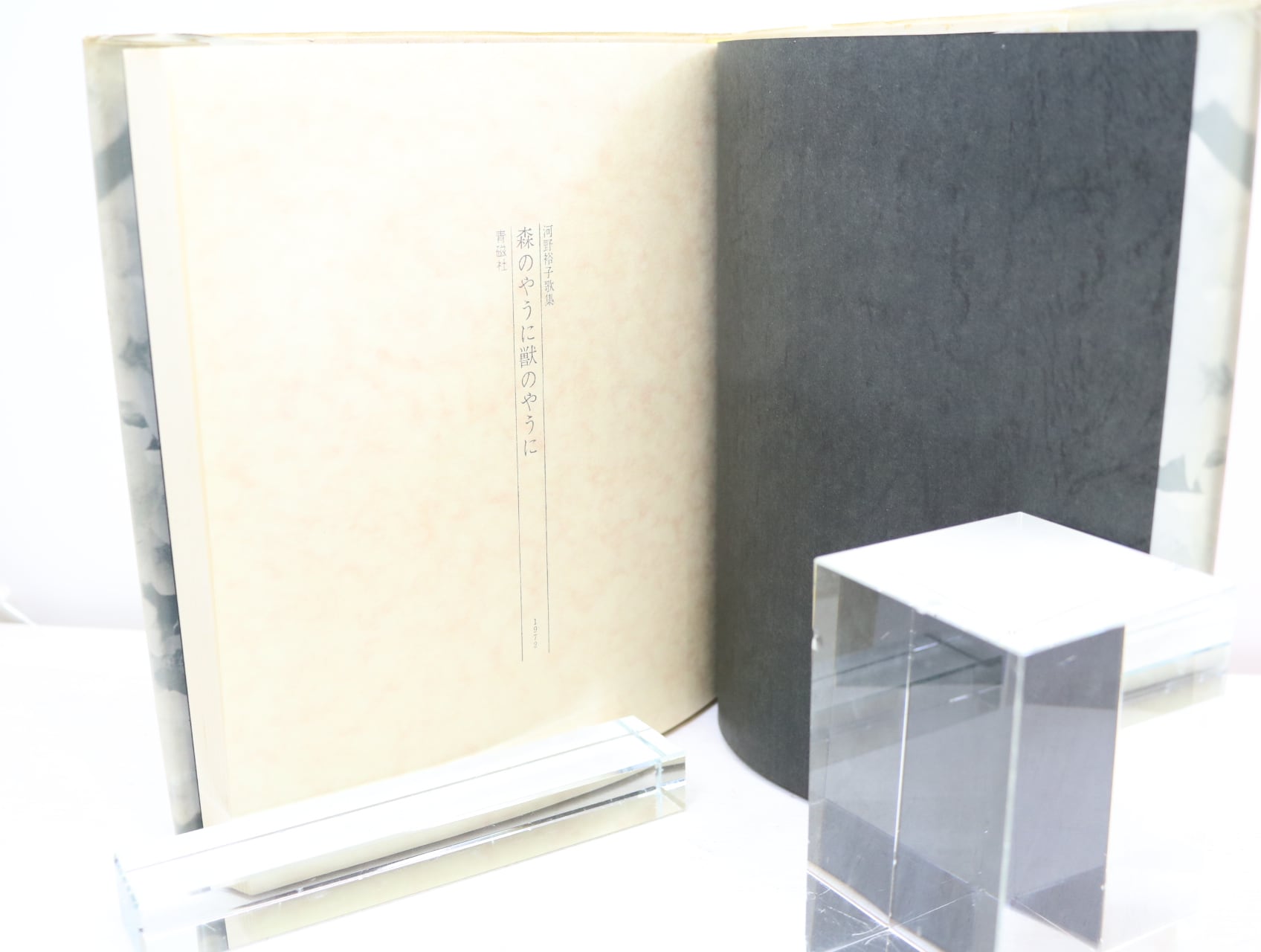 森のやうに獣のやうに 初版（元版） / 河野裕子 [32623] | 書肆田高