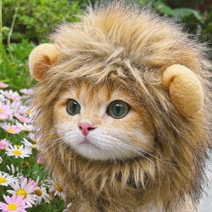 【努力特価】犬 猫用ウィッグ ペット用帽子 ライオン 猫被り物 可愛いペット用 ウィッグ 犬 猫用帽子 コスプレキャップ 変身 ハロウィン クリスマス 調節可能 着脱簡単(S)