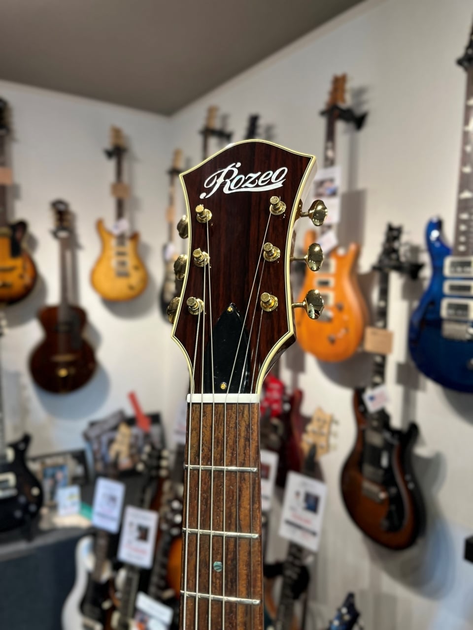 薄くて軽い！だからバンドマンにもおすすめです！】Rozeo / Ladybug SM