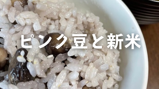 【ランチつき離乳食/幼児食レッスン】9-10月