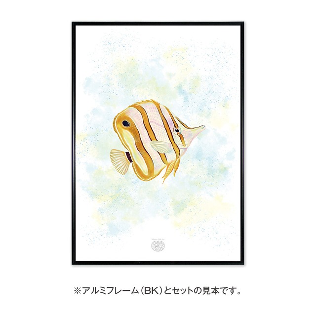 【海のいきものアートポスター／魚】ハシナガチョウチョウウオ