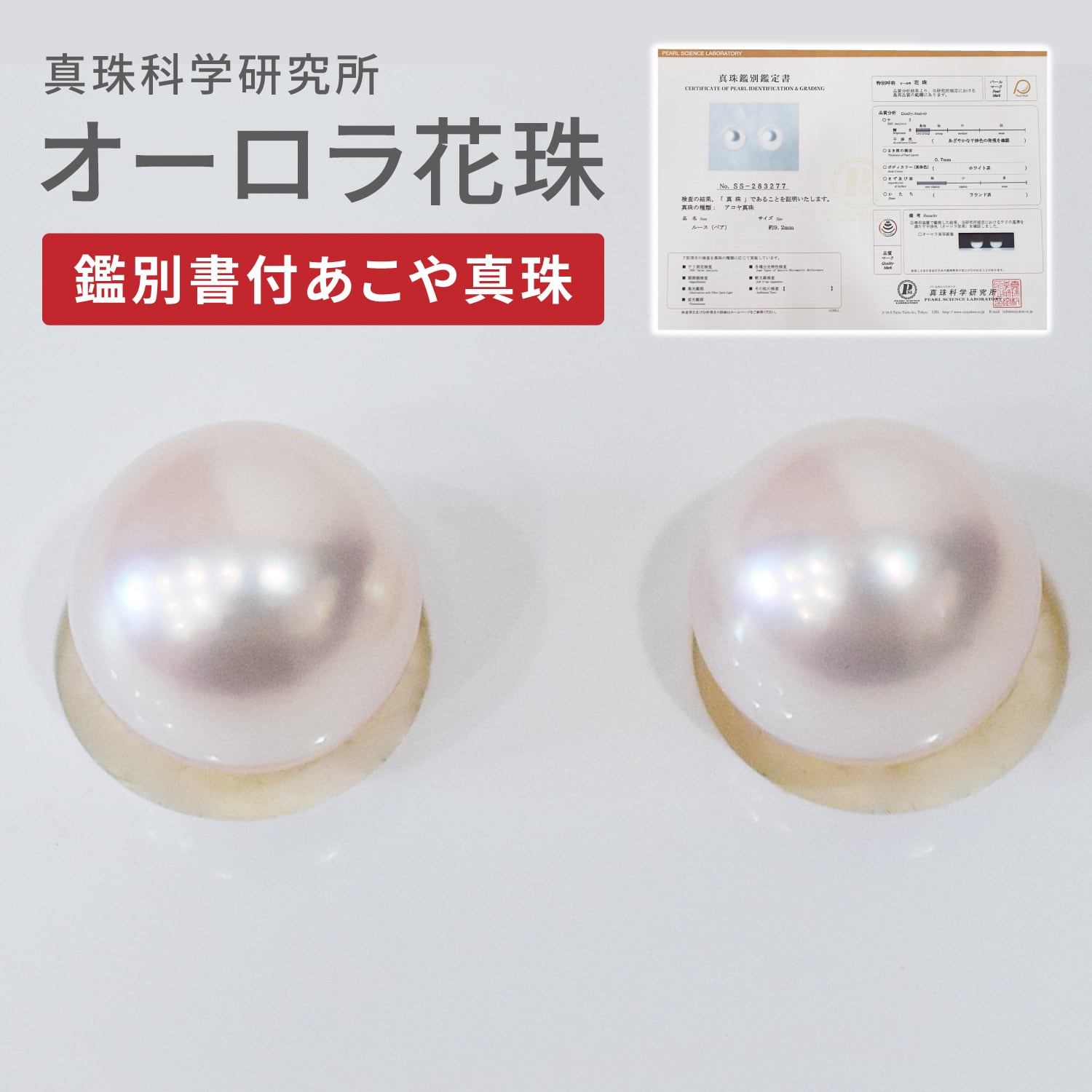 Pt900 アコヤ 真珠 パール オーロラ 真多麻 ピアス 8.5mm 真珠科学研究